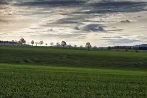 Hilly Countryside Photography Prints: Undulating landscape with fields