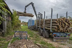 Othenstorf Estate Germany Prints: Unloading logs from a log transporter