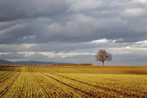 Winter Landscape Germany Prints: Unstable