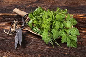 Rustic Food Photography Prints: Various aromatic culinary herbs