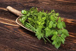 Medicinal Plant Pictures Prints: Various aromatic culinary herbs