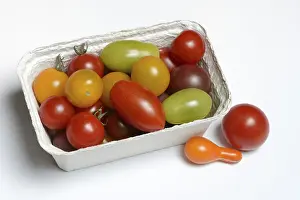 Food Photography Germany Prints: Various cherry tomatoes in packaging, Germany