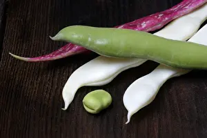Green Vegetable Photography Prints: Various garden beans, Coco bean