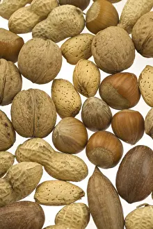 Studio Shot Background Prints: Various nuts in their shells, brazil nuts