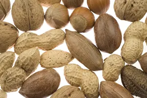 Food Still Life Prints: Various nuts in their shells, brazil nuts