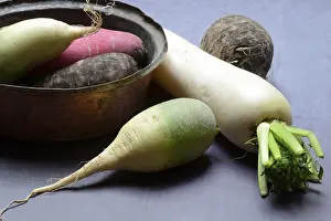 Radish Varieties Prints: Various radishes, Raphanus