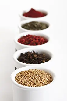 Studio Background Cuisine Prints: Various spices