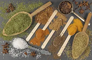 Spicy Food Ingredients Prints: Various spices on different spoons