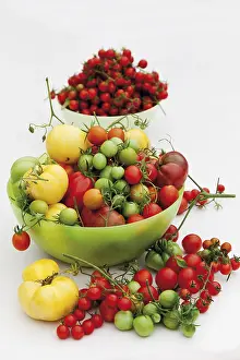 Vegetable Photography Prints: Various tomato varieties