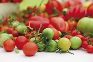 Food Still Life Prints: Various tomato varieties