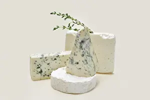 Gourmet Cheese Options Prints: Various types of blue mold cheese