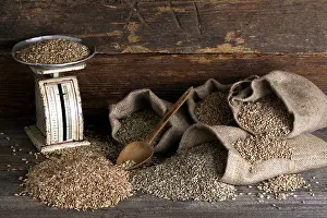 Studio Shot Of Grains Prints: Various types of cereals, wheat