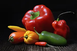 Solanaceae Plant Prints: Various types of peppers, Germany