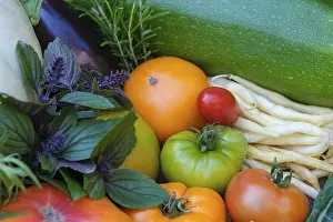 European Vegetable Crops Prints: Various vegetables, tomatoes, basil