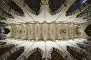 Gothic Vaulted Ceiling Prints: Vaulting, view of the vaulted ceiling