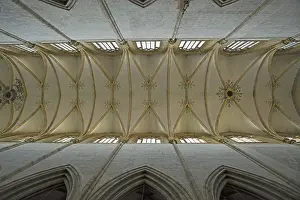 Deserted German Cathedral Prints: Vaulting, view of the vaulted ceiling