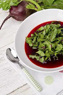 Healthy Vegetarian Lunch Options Prints: Vegetable soup from young, fresh sheets of the beetroot