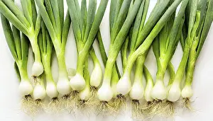 Deserted Garden Vegetables Prints: Vegetable, spring onion or spring onion