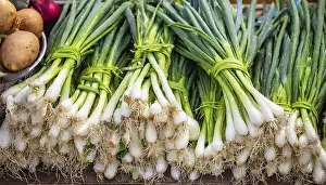Spring Onion Prints: Vegetable, spring onion or spring onion