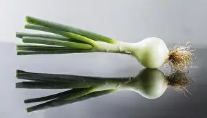 Spring Onion Prints: Vegetable, spring onion or spring onion