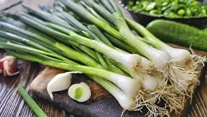Garden Vegetables Prints: Vegetable, spring onion or spring onion