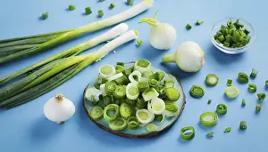 Garden Vegetables Prints: Vegetable, spring onion or spring onion