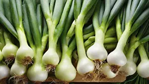 Deserted Garden Vegetables Prints: Vegetable, spring onion or spring onion