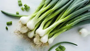 Spring Onion Prints: Vegetable, spring onion or spring onion