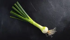 Garden Produce Images Prints: Vegetable, spring onion or spring onion
