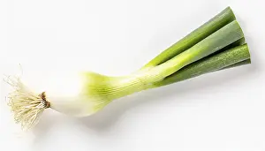 Deserted Garden Vegetables Prints: Vegetable, spring onion or spring onion
