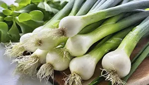 Garden Produce Prints: Vegetable, spring onion or spring onion
