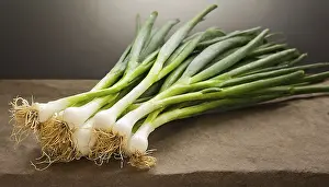 Grocery Store Vegetables Prints: Vegetable, spring onion or spring onion