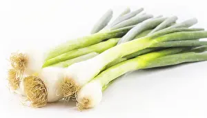 Deserted Garden Vegetables Prints: Vegetable, spring onion or spring onion