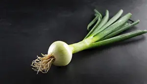 Grocery Store Vegetables Prints: Vegetable, spring onion or spring onion