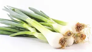 Deserted Garden Vegetables Prints: Vegetable, spring onion or spring onion