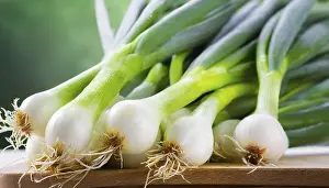 Deserted Garden Vegetables Prints: Vegetable, spring onion or spring onion