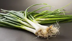 Deserted Garden Vegetables Prints: Vegetable, spring onion or spring onion
