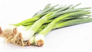 Deserted Garden Vegetables Prints: Vegetable, spring onion or spring onion