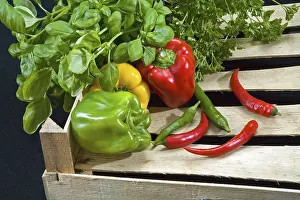 Fresh Produce Photography Prints: Vegetables