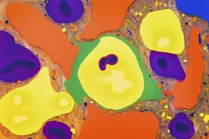 Vibrant Colors Prints: A vibrant array of mixed colors