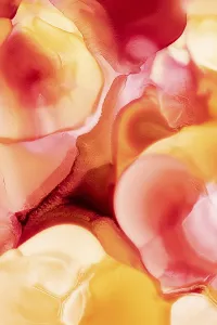 Ecological Abstract Art Prints: Vibrant liquid abstract inks flow together