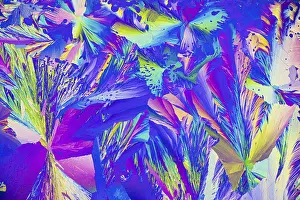 Geometric Shapes Prints: A vibrant microcrystals under the microscope