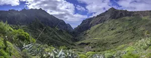 Erosion Landscape In Europe Prints: View into the Barranco de Masca