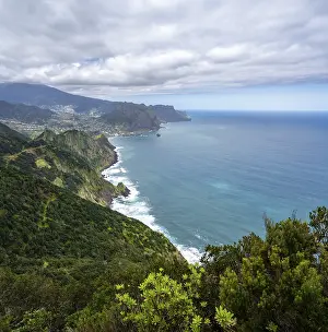 Portuguese Rocky Coastline Prints: View of cliffs overgrown with forest