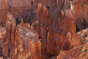Sandstone Landscape USA Prints: View of coloured rock formations