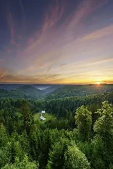 Morning Light In The Black Forest Prints: View from the Ellbachseeblick viewing platform