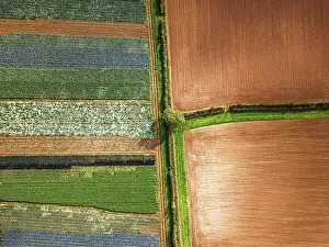 Devon Drone Images Prints: Top down view over fields from a drone