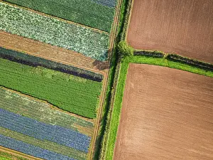 British Countryside Landscape Prints: Top down view over fields from a drone
