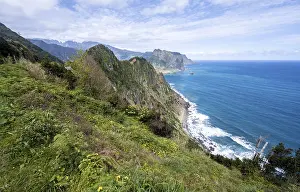 Coastal Landscape Prints: View of forest-clad cliffs and mountains