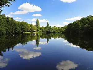 European Forest Scenery Prints: View of a forest lake, reflection